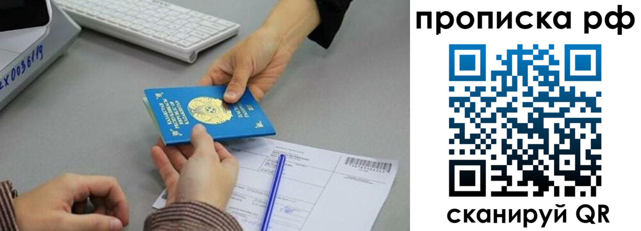 прописка в Новороссийске
